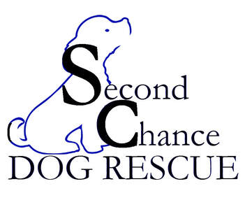 second chance rescue dogs